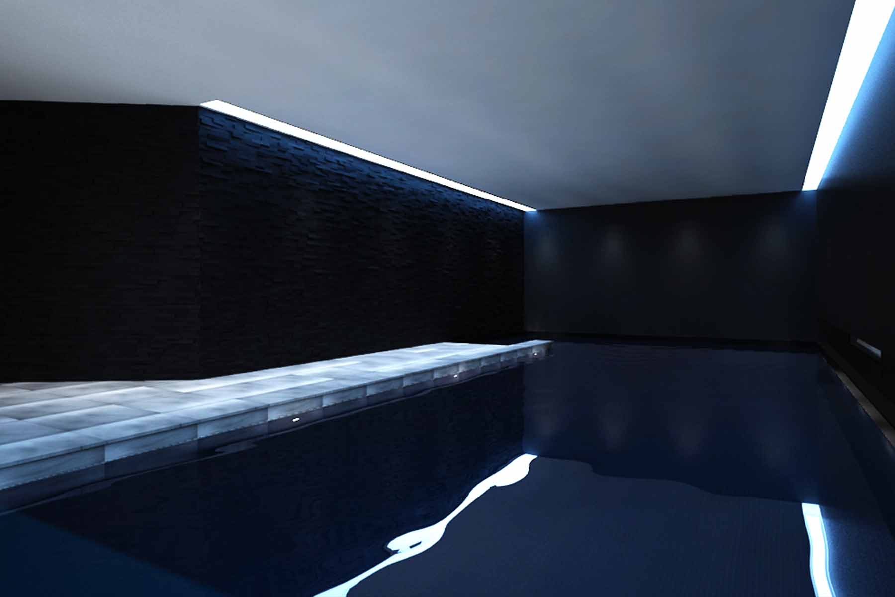 Corrie Church - Indoor Residential Infinity Pool | Aqua Platinum Projects